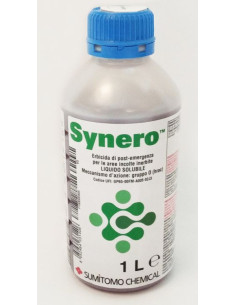 SYNERO LT.1 Miglior Prezzo