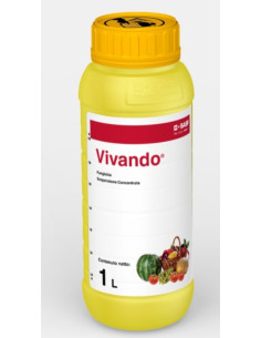 VIVANDO 50 SC LT.1 Miglior Prezzo