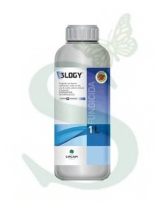 3LOGY LT.1 Miglior Prezzo