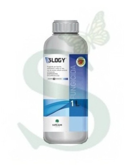 3LOGY LT.1 Miglior Prezzo