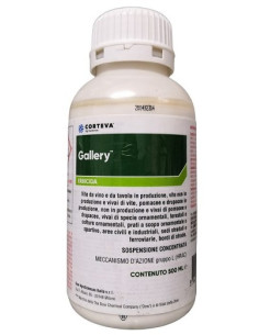 GALLERY ML.500 Miglior Prezzo