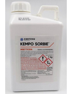 KEMPO SORBIE KG.1 Miglior Prezzo