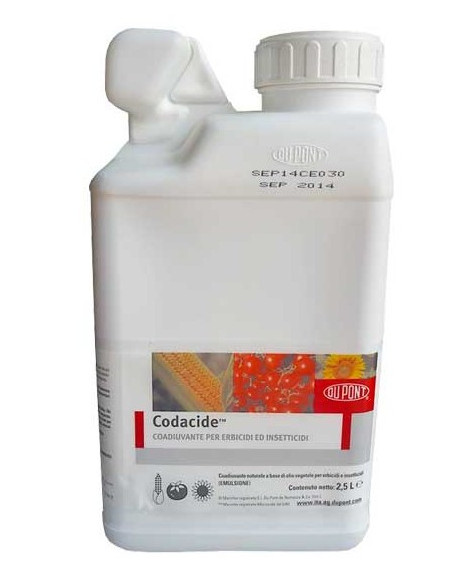 CODACIDE LT.10 Miglior Prezzo