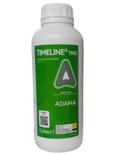 TIMELINE TRIO LT.1 Miglior Prezzo