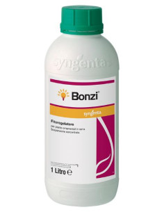 BONZI LT.1 Miglior Prezzo