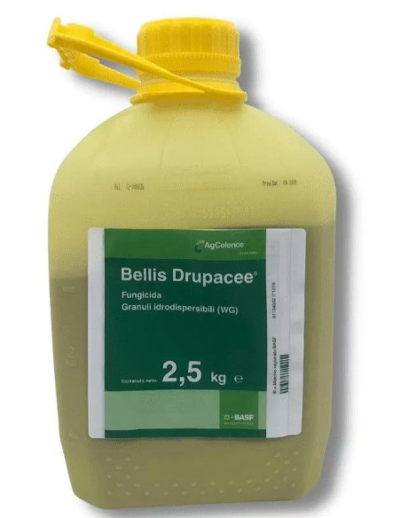 BELLIS DRUPACEE KG 2,5 Miglior Prezzo