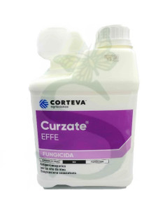 CURZATE EFFE WG KG.6 Miglior Prezzo