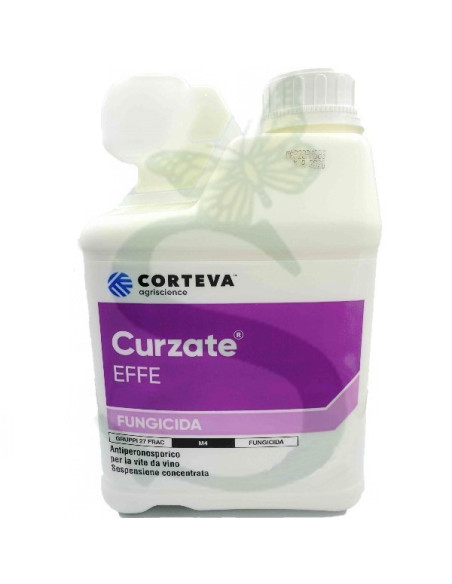 CURZATE EFFE WG KG.6 Miglior Prezzo