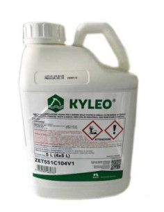 KYLEO TOP LT.5 Miglior Prezzo