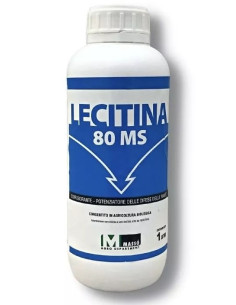 LECITINA MS 80 LT.5 Miglior Prezzo