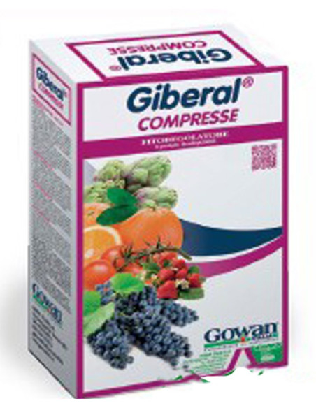 GIBERAL COMPRESSE GR.50 Miglior Prezzo