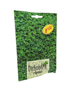 DICONDRA REPENS EVERGREEN GR.100 Miglior Prezzo