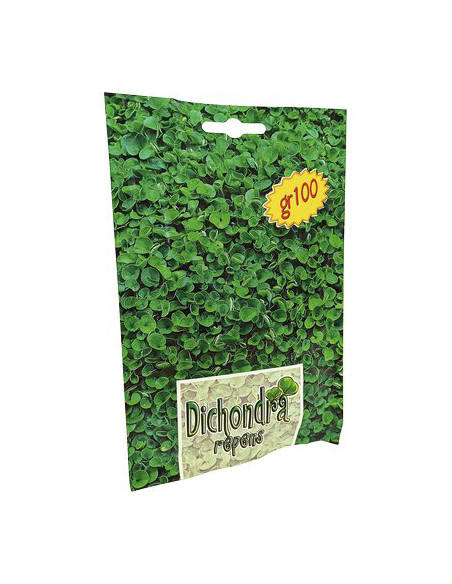 DICONDRA REPENS EVERGREEN GR.100 Miglior Prezzo