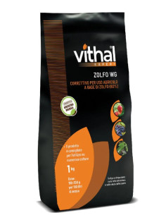 VITHAL EXPERT ZOLFO WG KG.1 Miglior Prezzo