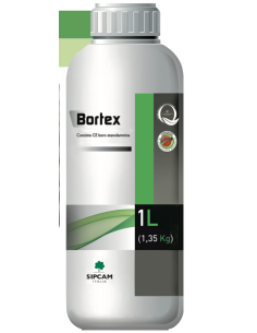 BORTEX LT.1 - (BOROPLUS) Miglior Prezzo