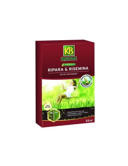 EVERGREEN RIPARA & RISEMINA KG.1 Miglior Prezzo
