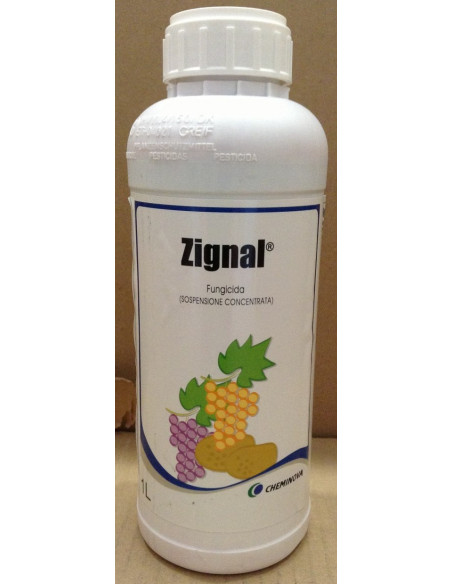 ZIGNAL LT.1 Miglior Prezzo
