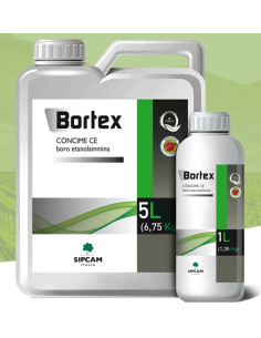 BORTEX LT.5 - (BOROPLUS) Miglior Prezzo