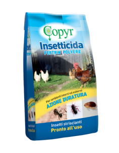 SPRIN POLVERE KG.1 Miglior Prezzo