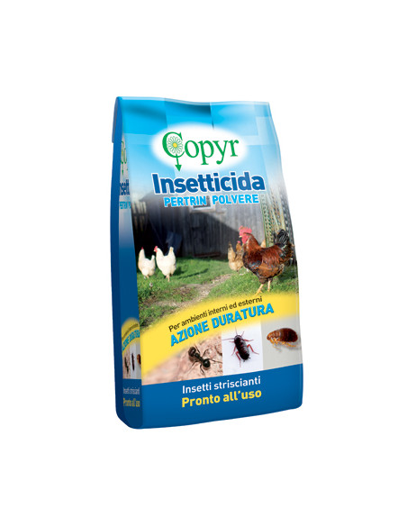 SPRIN POLVERE KG.1 Miglior Prezzo