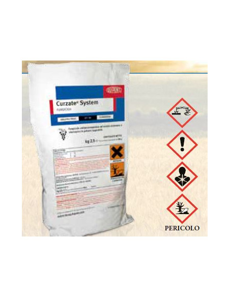 CURZATE SYSTEM KG.2,5 Miglior Prezzo