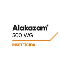 ALAKAZAM 500 WG - GR.500 - ( TEPPEKI ) Miglior Prezzo