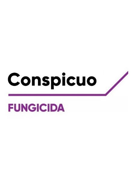 CONSPICUO KG.1 - ( SIGNUM ) Miglior Prezzo