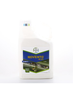 MOVENTO 48 SC LT.5 Miglior Prezzo