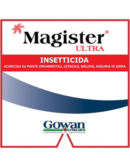 MAGISTER ULTRA LT.1 Miglior Prezzo
