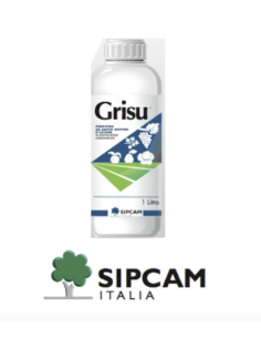 GRISU FUNGICIDA LT.1 ( ROVRAL ) - REVOCATO, richiedi Maggiori