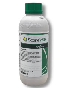 SCORE 25 EC LT.1 Miglior Prezzo