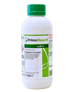 PRIMO MAXX LT.1 Miglior Prezzo