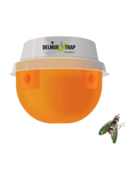 DELMUR TRAP DACUS mosca dell'olivo 1 pz. 
