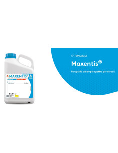 MAXENTIS LT.1 Miglior Prezzo