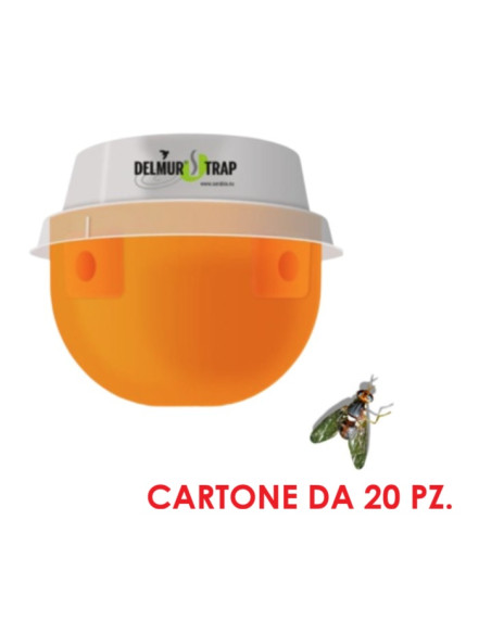 DELMUR TRAP DACUS mosca dell'olivo 20 pz. 
