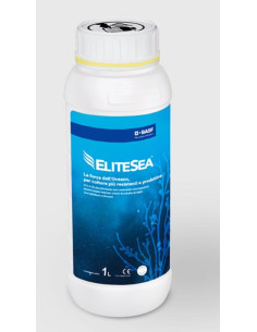 ELITESEA BASF LT.1 Miglior Prezzo