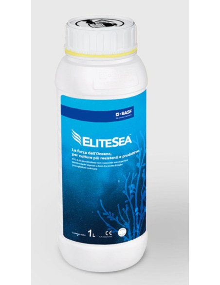 ELITESEA BASF LT.1 Miglior Prezzo