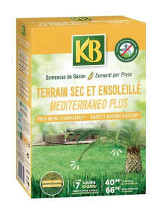 SEMI PER PRATO MEDITERRANEO PLUS  KB KG.1