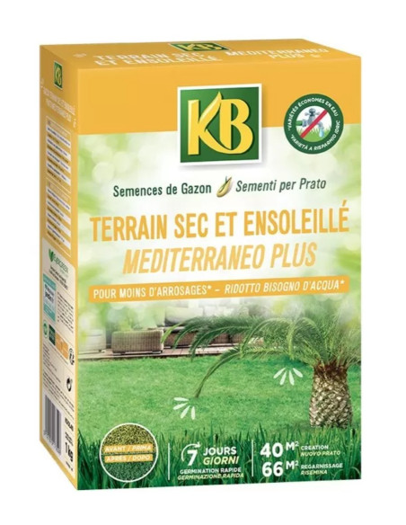 SEMI PER PRATO MEDITERRANEO PLUS  KB KG.1