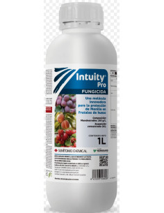 INTUITY PRO LT.1