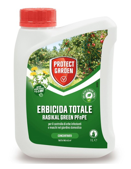 RASIKAL GREEN ML.360