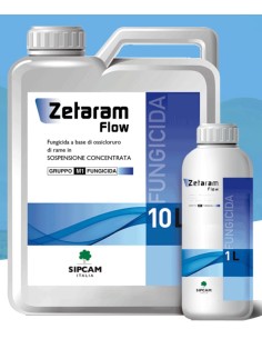 ZETARAM FLOW LT.1 Miglior Prezzo