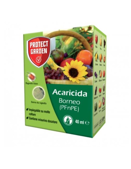 BORNEO ML.40 Miglior Prezzo
