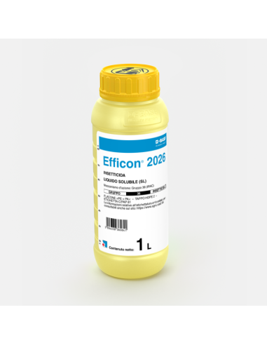 EFFICON 2026 LT.1 Miglior Prezzo