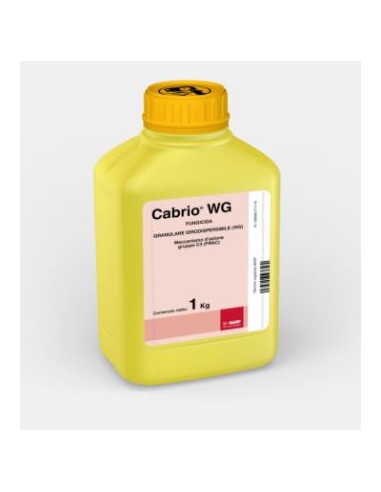 CABRIO WG KG.1 Miglior Prezzo
