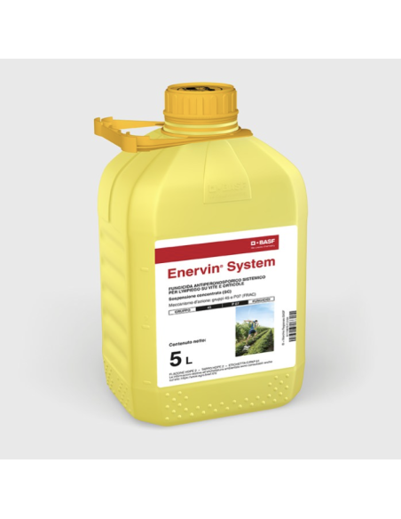 ENERVIN SYSTEM LT.5 Miglior Prezzo