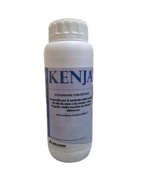 KENJA LT.1 Miglior Prezzo
