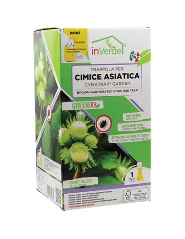 TRAPPOLA CIMICI ASIATICHE INVERDE + FERORMONE E ATTRATTIVO