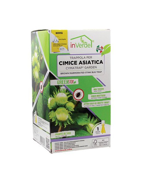 TRAPPOLA CIMICI ASIATICHE INVERDE + FERORMONE E ATTRATTIVO